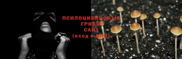 эйфоретик Михайловск