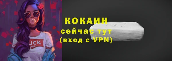 твердый Михайлов