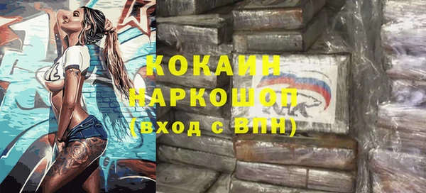 твердый Михайлов