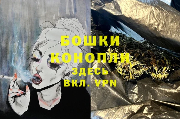 твердый Михайлов