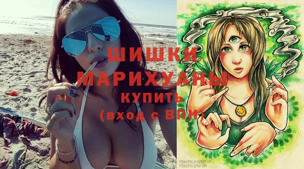 Альфа ПВП Мегион