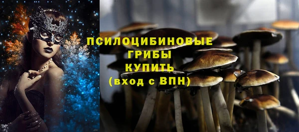 твердый Михайлов